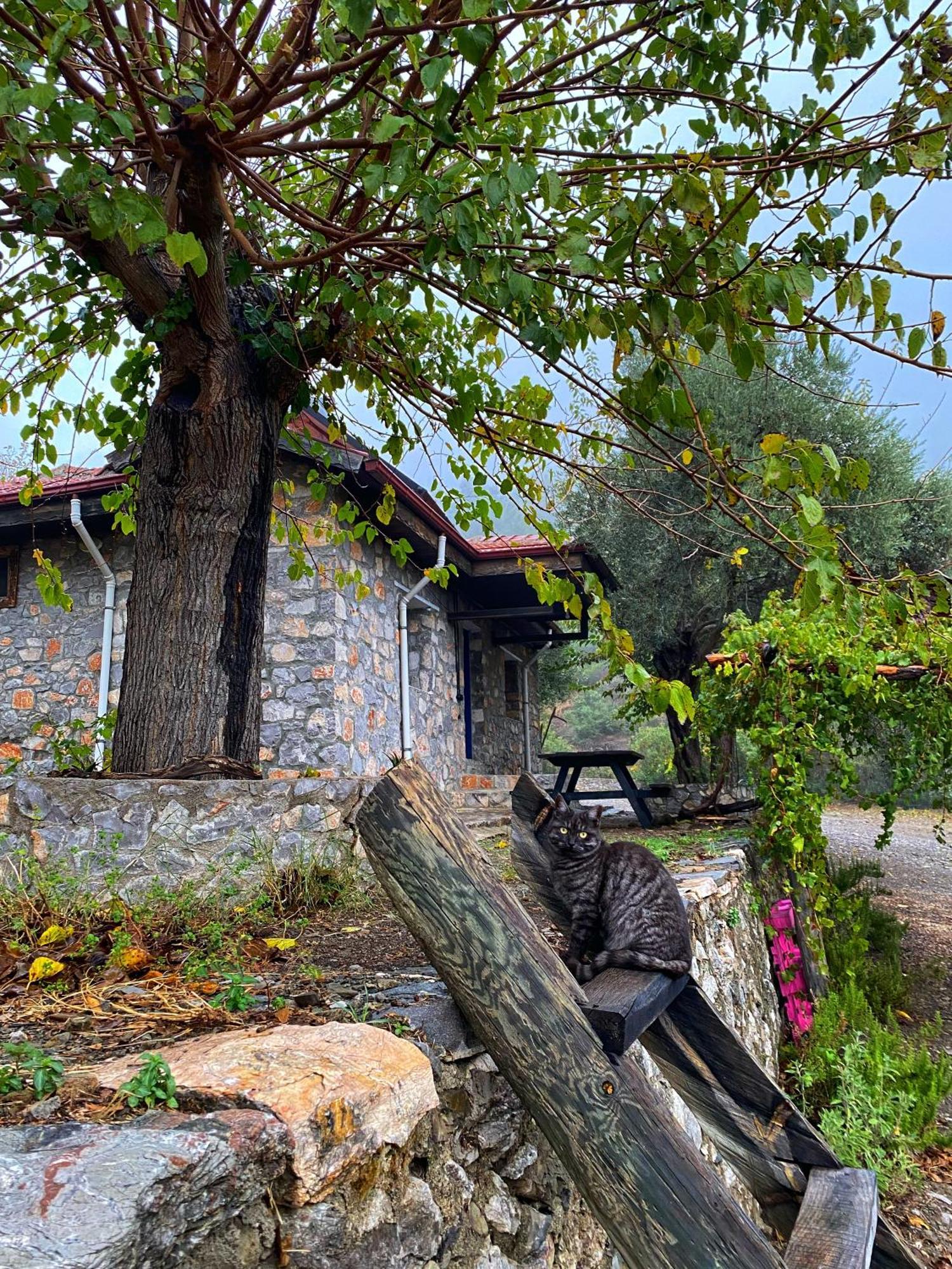 Togo Iztuzu Stonehouse-3 Bogazagzi
