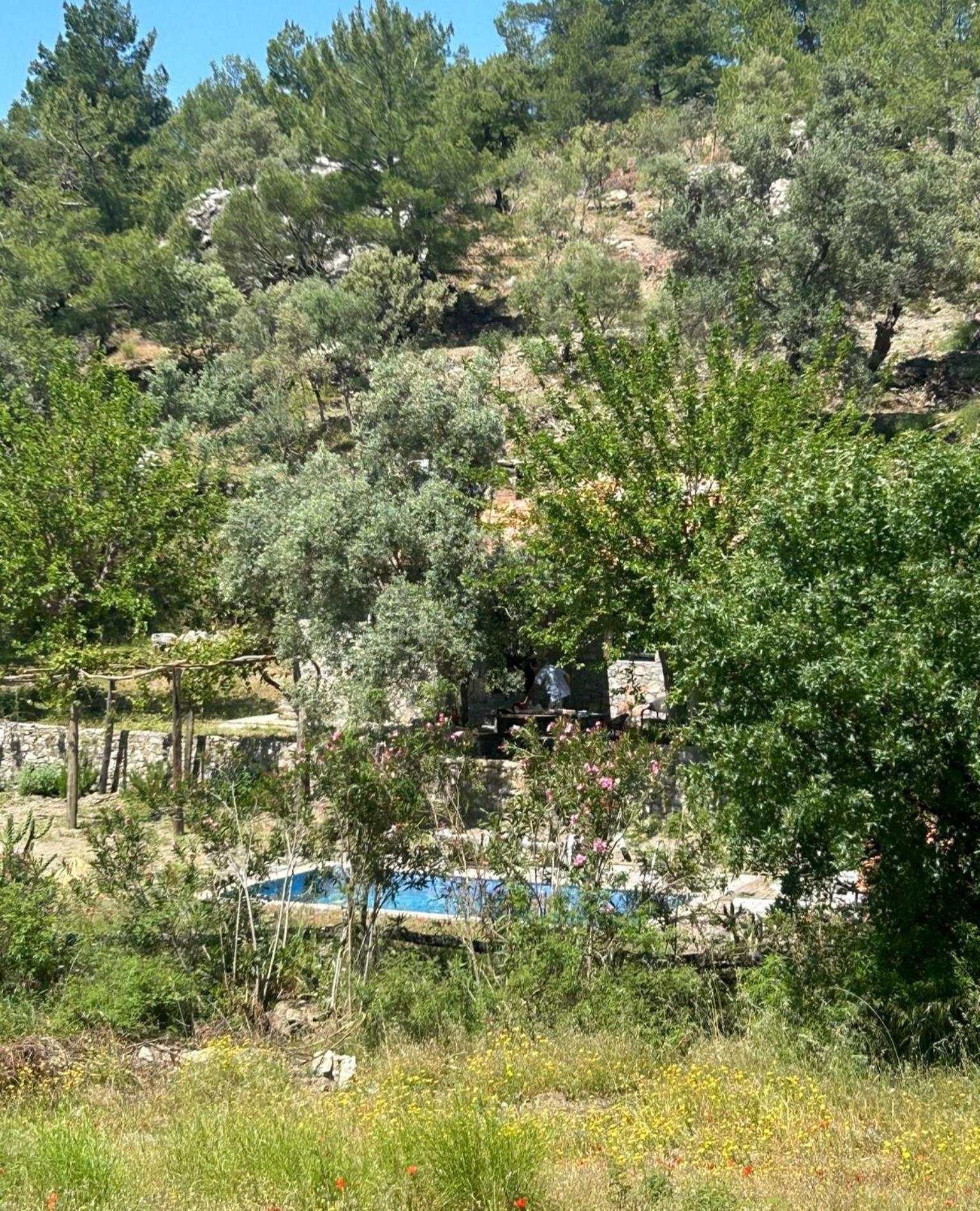 Togo Iztuzu Stonehouse-3 Шале *